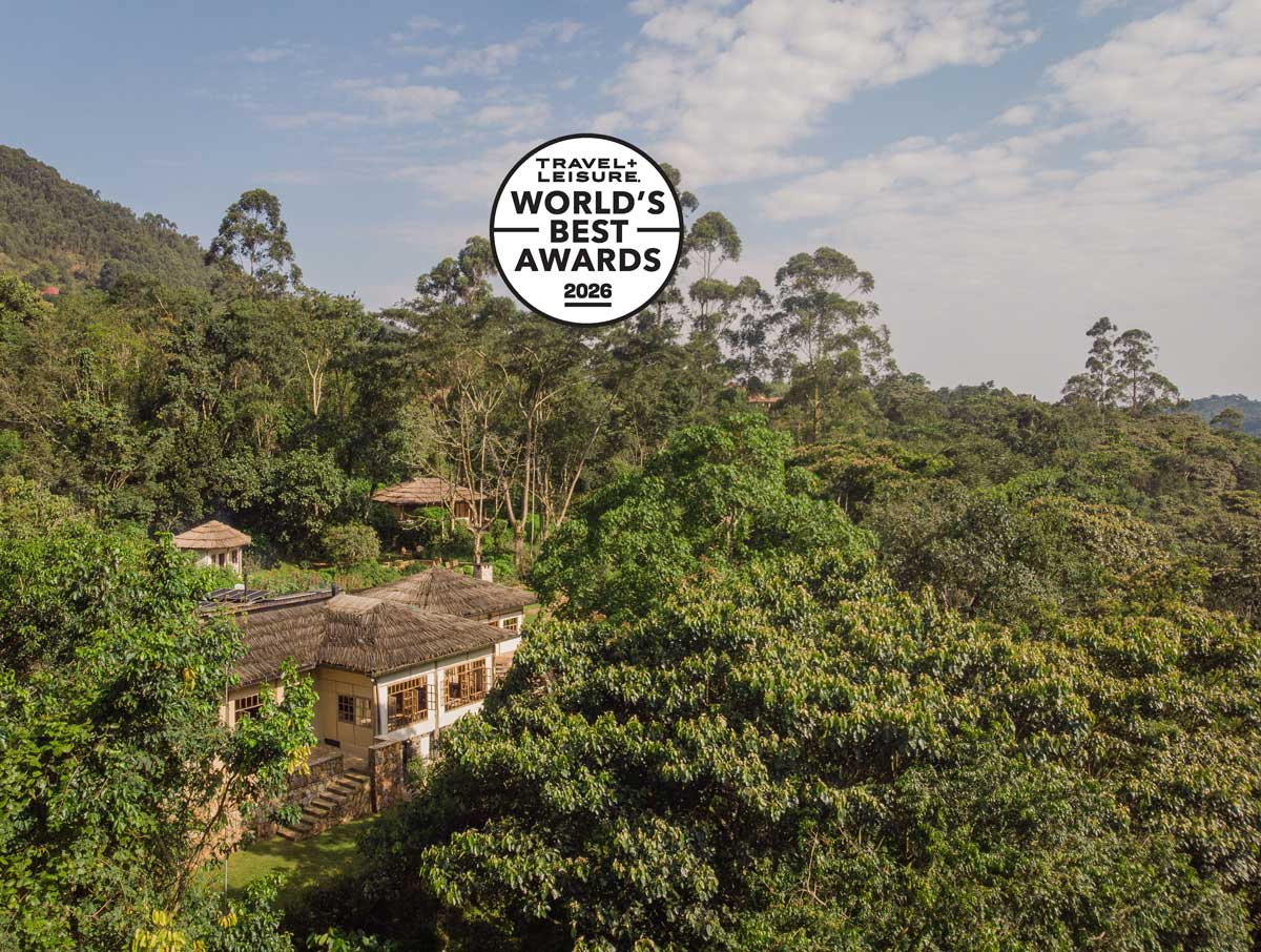 Bwindi Lodge voted in Travel + Leisure's 10 Best Africa Safari Lodges 2026